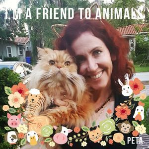 Meet your Posher, Ro